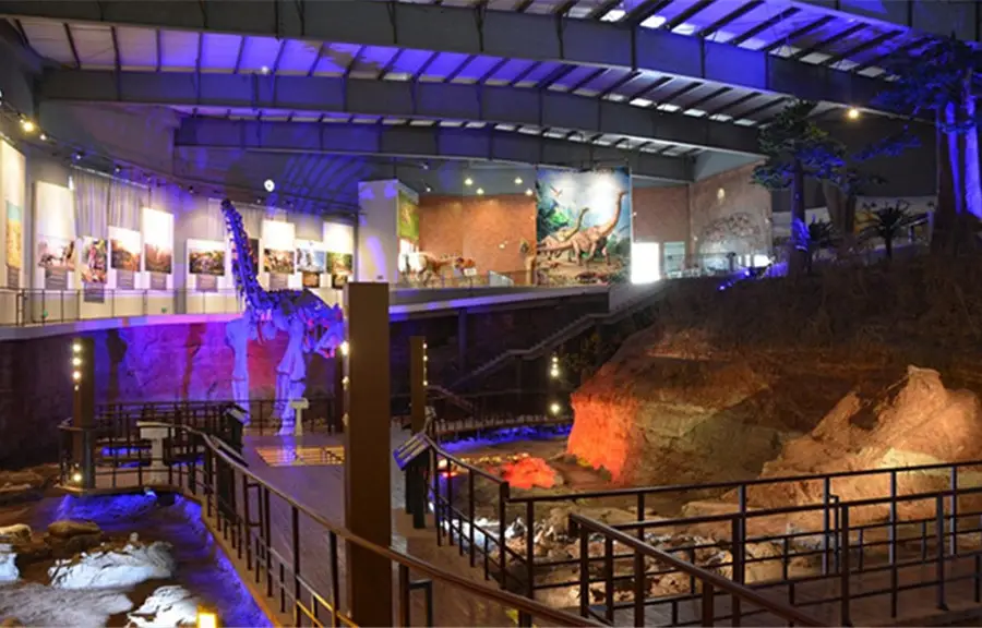 Ruyang Geopark of Dinosaur Fossil Group