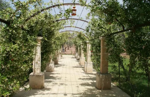 萊切斯菲爾羅住宿加早餐旅館