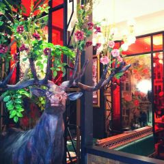XIN BAI LU User Photo