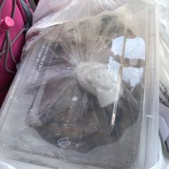 ZHONG JI YAN SHAO FAN YA User Photo