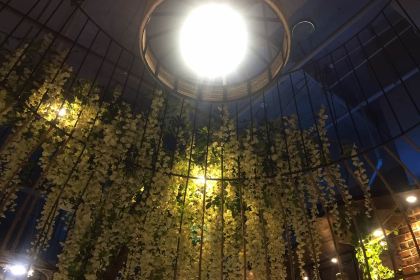 汕头乌记牛肉店(润达店)