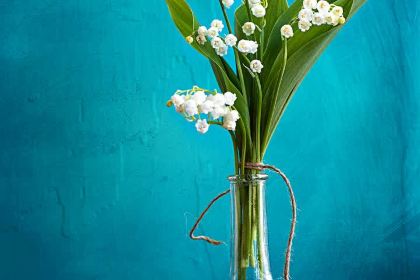 Panggeliarouxiebao (xinhuazhonglu)