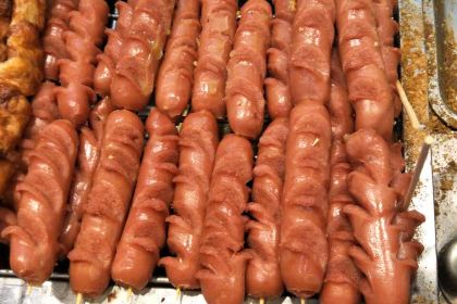 ZHENG XIN JI PAI DONG TAI DIAN