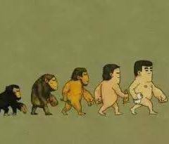 ZHONG SHAN SHI DAN QI OU PA NA DE LUO HONG BEI SHENG HUO GUAN User Photo