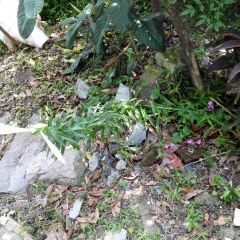 MAI DANG LAO ZHENG RONG CAI FU ZHONG XIN DIAN User Photo