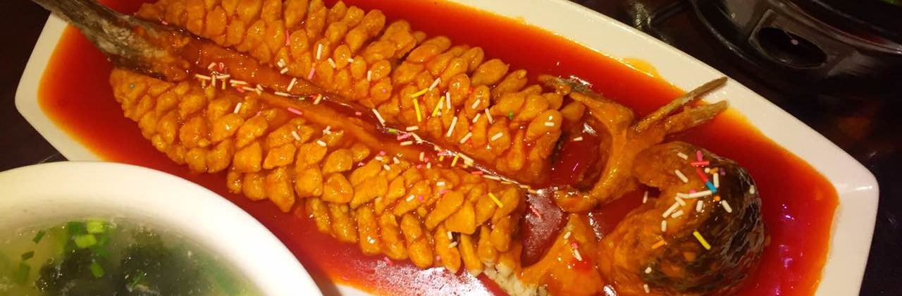 小城阳光(沁阳自由路商业步行街店)