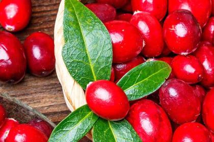 红中八刀汤(原林记八刀汤店)