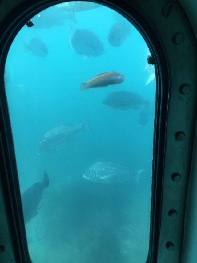 Hado Cape Attractions - Karatsu Travel Review -Travel Guide - Trip.com
