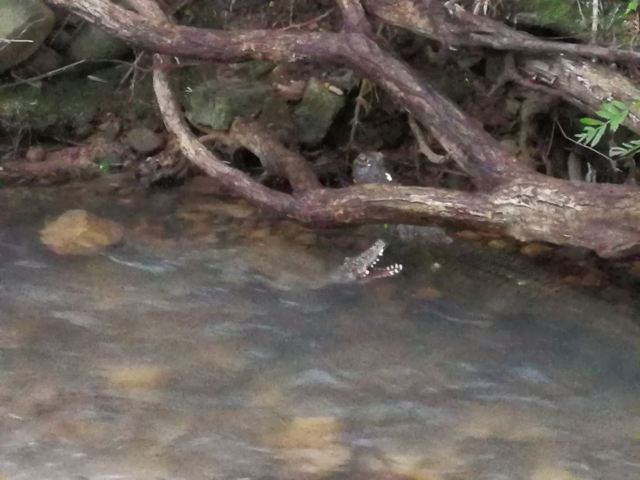 Taiji Wuse Valley