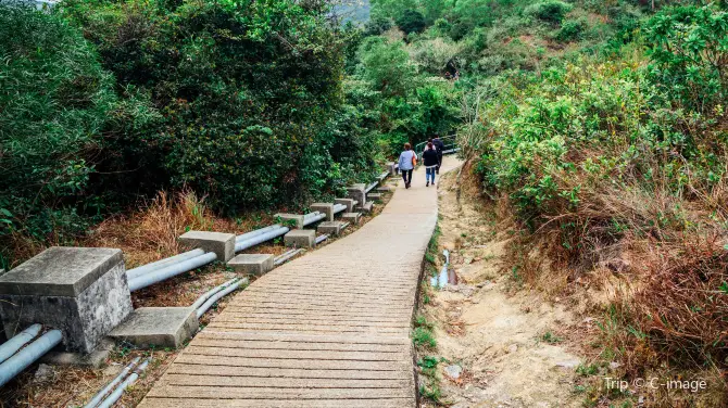 中央南丫島遠足徑