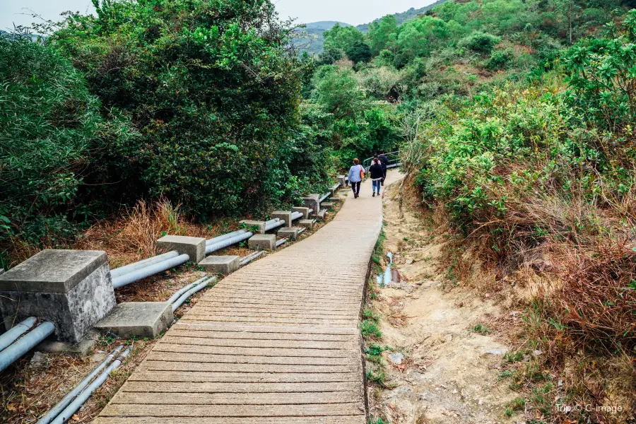 Central Hiking Lamma Trail