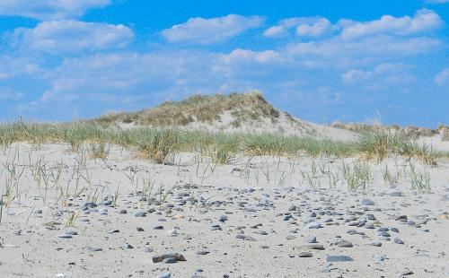 Dunes Beach来的人还是很多的，很多人来这里是为了享