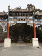 Temple of the Sleeping Buddha (Wofosi)