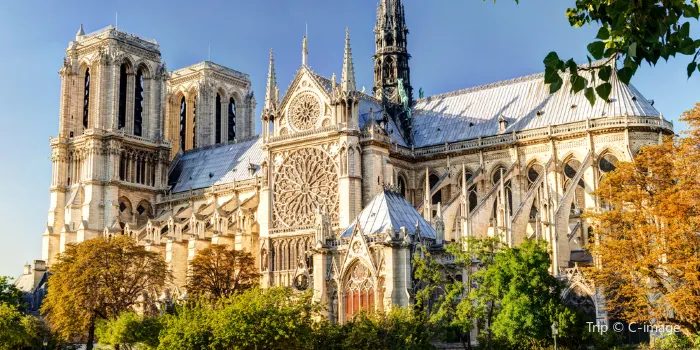 노트르담 대성당 image 0