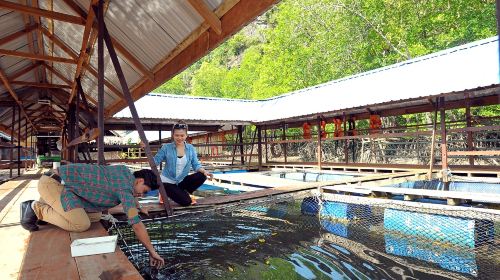 Kilim Geoforest Park