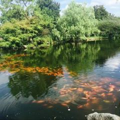 雷峰塔·藕香居餐厅 User Photo