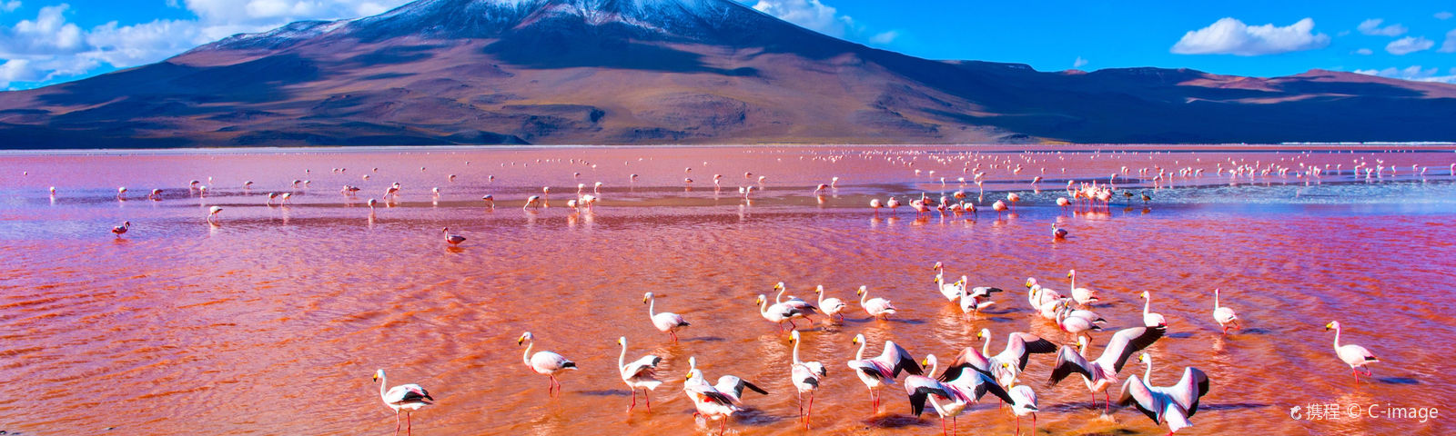 UyuniTour Trong Ngày