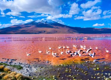 Uyuni