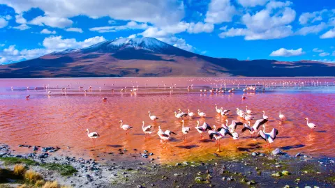 Uyuni travel destination