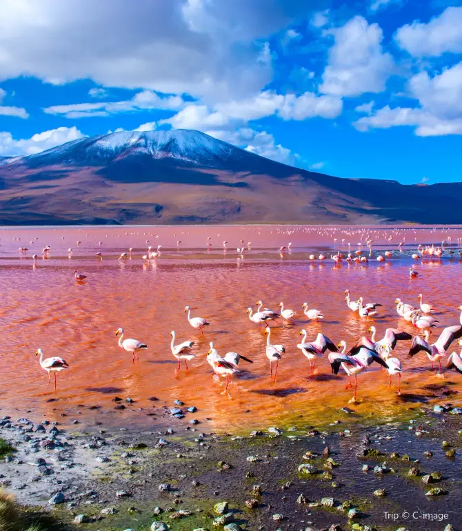 Uyuni