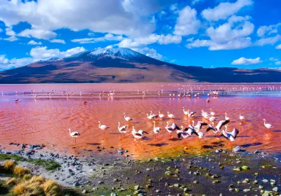 Uyuni