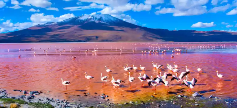 ウユニのホテル