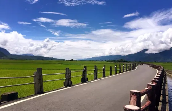 台東換鵝山房民宿