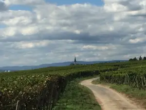 Weingut Weilbacher & Gutsausschank Klosterhof