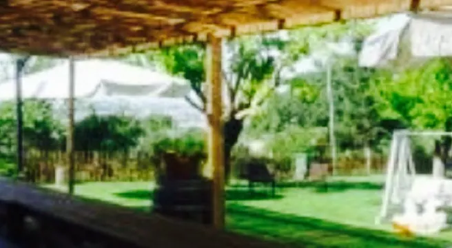 azienda agricola IL CHICCO