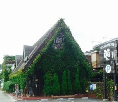 Kiku