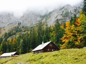 Hohe Holzmeisteralm