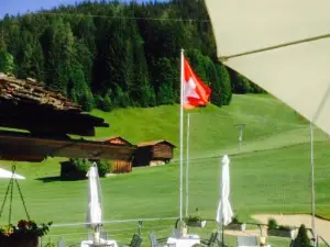Ski-Hütte Golf Selfranga