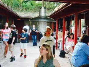 Rocky's Hot Chicken Shack