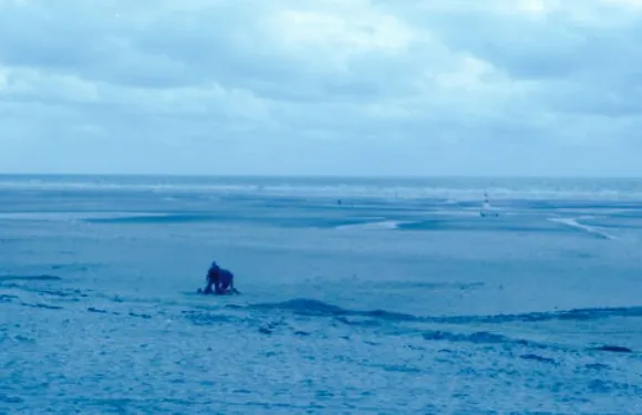 Les Pieds Dans l'eau