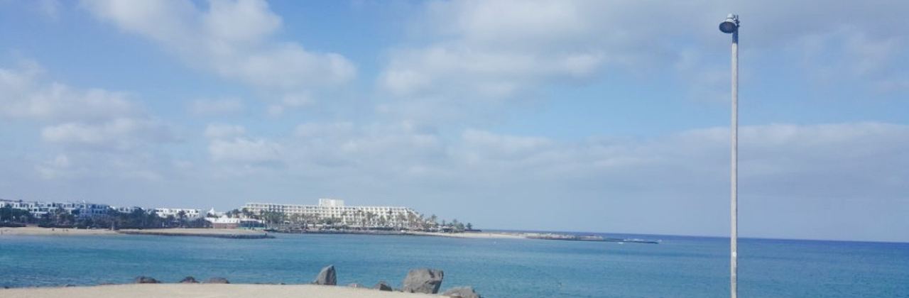 The Waterfront Bar & Food house