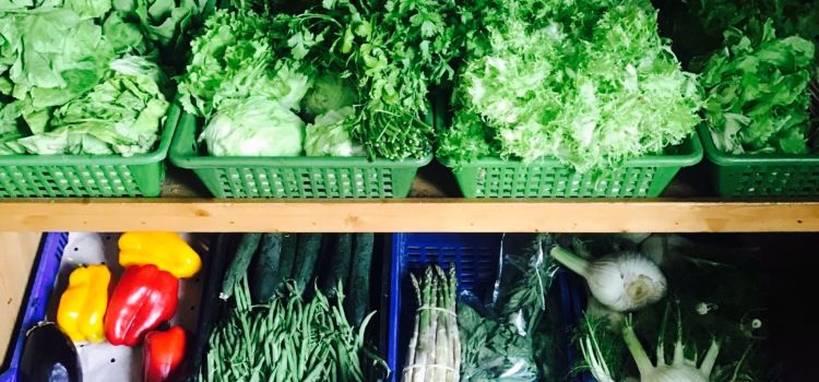 Stazione dei Sapori di Pecorai Sonia