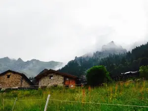 Agriturismo Ferdy d'Alpe