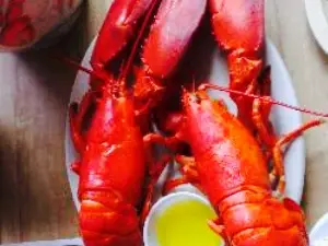 Bay Haven Lobster Two