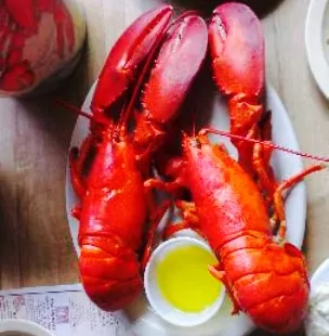 Bay Haven Lobster Pound
