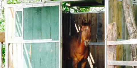 Trattoria al Pian di Farro
