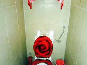Olla