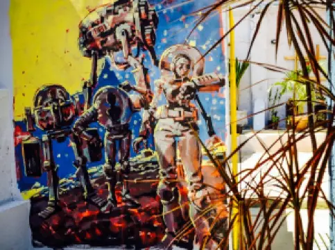 Mono Cafes Especiais