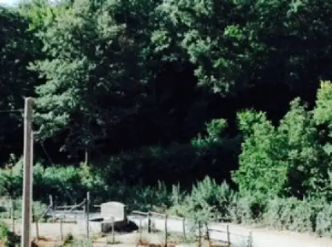 Agriturismo Le Ferriere