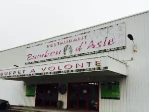 Bambou d'asie
