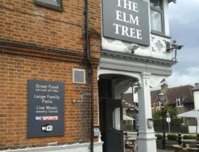 The Elm Tree