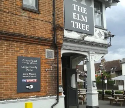 The Elm Tree