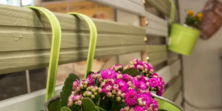 Tavernaki Tou Gamprou