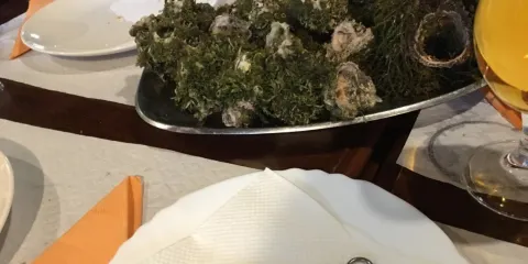 Vila Miseria Restaurant