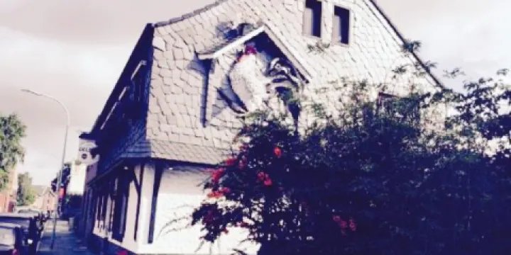 Heinz Delmes Grill-Restaurant E. K