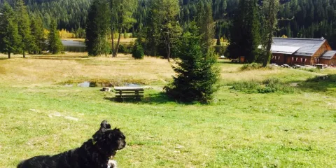 Ludlalm am Prebersee